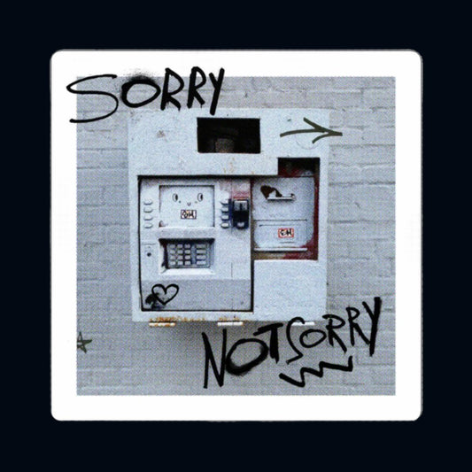 unique streetstyle graffiti sorry not sorry band sticker